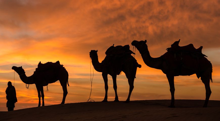 Desert vista in the UAE